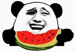 吃瓜群众大爷吃瓜视频,揭秘吃瓜群众的欢乐时光