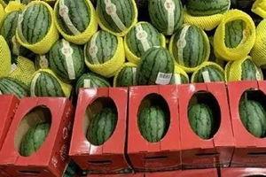 西瓜冰a吃瓜视频,揭秘夏日消暑新潮流