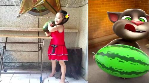 汤姆猫吃小瓜视频大全,萌态百出欢乐无限