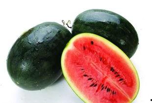 广西机电吃瓜视频,吃瓜视频揭秘校园生活百态