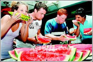 外国人吃瓜群视频大全,外国人吃瓜群视频大赏