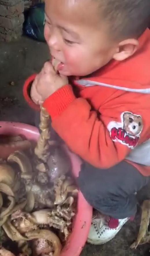 爱吃肉肉的崽崽吃瓜视频,一场视觉与味蕾的双重享受